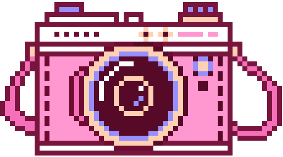 pink camera